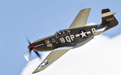 _D3M1948 copy 2  WEB.jpg