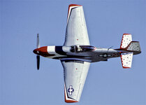 R87      NN       276  copy  WEB.jpg