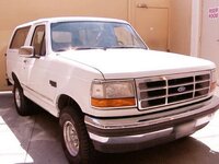 bronco.jpeg