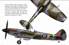 Spitfire Mk XIV No.2 Squadron RN113 1945.png