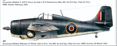 Grumman Wildcat IV FN135, No.819 Sqn, Fleet Air Arm, HMS Activity, 1944.png