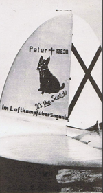 Unusual 13 on a He 111B 1which was used as memorial to the crew's mascot who perished on a rai...png