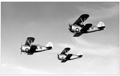 Grumman F3F-3 fighters '13' and 15' flight training NAS Corpus Christi 1942.png