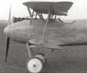Albatros D.V. with aircraft weights indicated at 675 kg and 135 kg. No other information provi...png