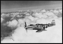 361st FG, 376th FS P-51D Mustang 44-13717, code E9-D.png