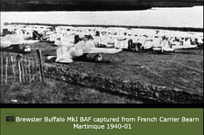 Brewster Buffalo MkI BAF captured from French Carrier Bearn Martinique 1940 ASISBIZ.png