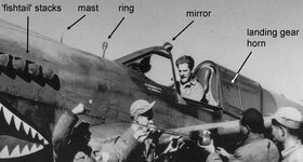 p40ephoto11.jpg