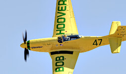 _D3N3662 copy 2.jpg