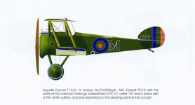 Sopwith Camel 'F1333' No.37 Squadron, RAF .png