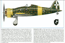 Aermacchi C.200, 356 Squadriglia, 21 Gruppo Autonomo C.T., Russia, 1942..png