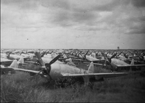 P-47 Thunderbolts in mothballs Clark Field Philippines.png