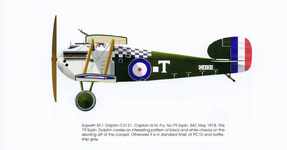 Sopwith 5F.1 Doiphin 'C4131 No.79 Squadron, RAF 1918.png