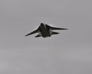 DSC_4107.jpg