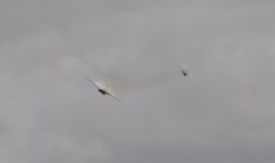 DSC_4110.jpg