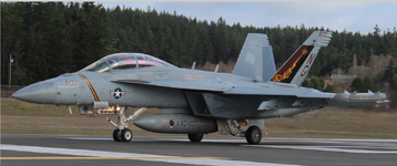  EA-18G Growler (VAQ-133 : CVW-9) February 2020 SEAORG.png