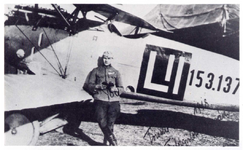 Albatros D.III (OEF) 152.137 1918.png