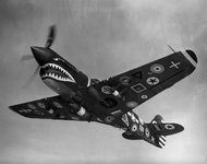 28 Air Forces Insignia Mark on P-40N 15 000th Curtiss P-40 1944.png