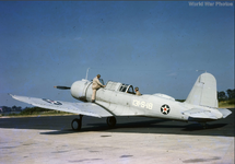 USMC SB2U-3 Vindicator 131-S-18 of the VMSB-131 1941.png