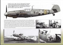 Messerschmitt Bf109G-2 no.13740' 'V.313' Hungarian RAF 1943.png