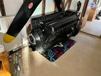 IMG_3165.jpeg