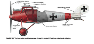 Pfalz D.III 1369:17 Jasta 11 1917 .png