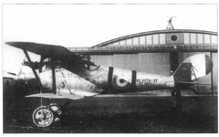 Pfalz D.III 1370:17 of Jasta 10 captured and insignia painted over 1917 side view.png