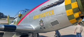 Gunfighter.2.jpg
