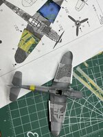 IMG_4089.jpeg