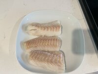 IMG_2637.jpeg