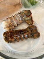 IMG_2632.jpeg