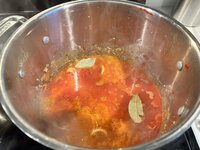IMG_2647.jpeg