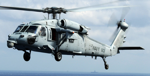 MH-60S Seahawk (HSC-9 : CVW-8) March 2010 SEAORG.png