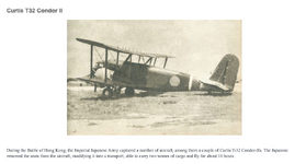 Only photo I could find (so far) of Curtiss AT-32 with Japanese markings.png