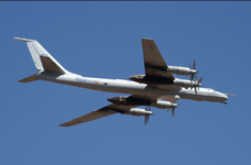 India Navy Tupolev Tu-142MK-E 'IN313' February 2005.png