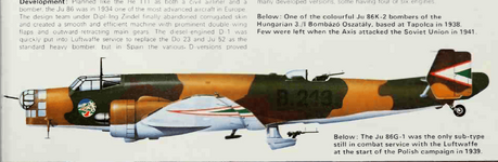 Hungarian Ju-86K-2 of 3.:I Bombazo Oszataly 1938.png