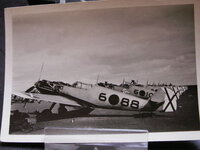 6-88_jfi - copia.jpg
