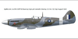 Spitfire MK XVI RAF no.132 Squadron FFB Lenneth Charney 'RN133' India August 1945 ASISBIZ.png