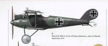 Pfalz D.III 1395:17 Jasta 10 September 1917.png