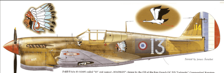 P-40E-5 '13' Free French GC II:5 %22Lafayette%22 .png