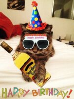 birthday kitty.jpeg