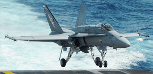 F:A-18C Hornet (VFA-113 : CVW-17) embarked on USS Carl Vinson (CVN 70) May 2011 SEAORG.png