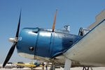 DSC_1975.jpg