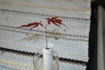 DSC_1449.JPG