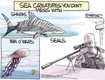 seals_2.jpg