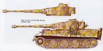 Tiger I white13.jpg