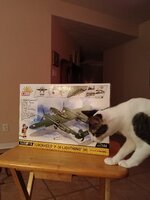 IMG_20240103_173540.jpg