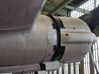 IMG_20240322_153705.jpg