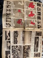 IMG_3536.jpeg