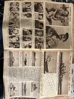 IMG_3538.jpeg