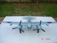 Mossie 001.JPG